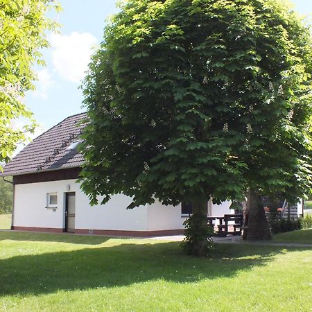Ferienhaus Moni Mit 2 Separaten Wohnungen Am Silbersee Frielendorf Exterior foto